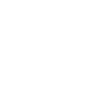 Chien